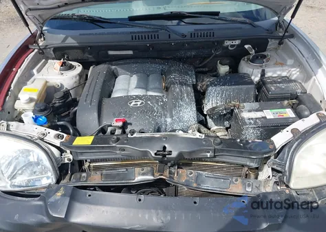 2003 Hyundai Santa Fe Gls/Lx из США, поврежденный, VIN KM8SC13D23U511156